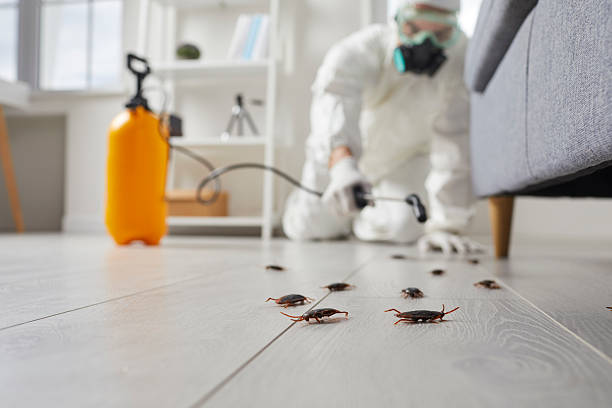 Commercial Kitchen Cockroach Control in Huachuca City